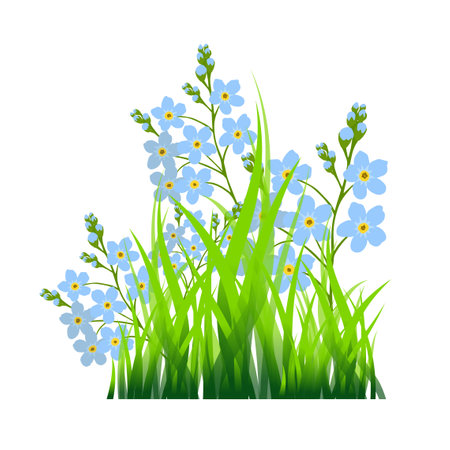 The object is green grass and forget-me-not flowers. Vector illustrationのイラスト素材