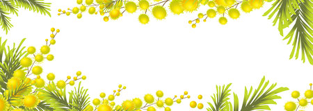 Horizontal frame with Yellow mimosa. Spring wreath of the brightest yellow flowers. Hello Spring . hand drawing. Not AI,のイラスト素材