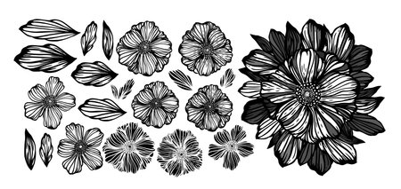 Set of graphic monochrome flowers. hand drawing. Not AI, Vector illustration.のイラスト素材