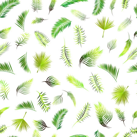 Palm leaves seamless pattern on white background. Vector backgroundのイラスト素材