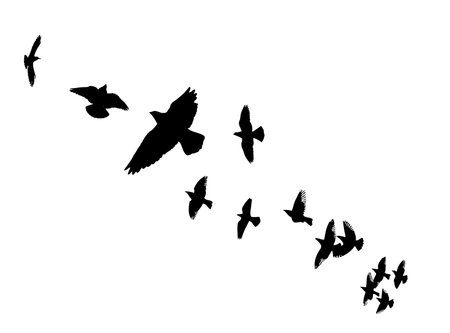 Flying birds silhouette flock. hand drawing. Not AI. Vector illustrationのイラスト素材