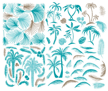 Sketch tropical palm trees. Hand drawn vintage Hawaii beach palms, Set of palm trees and palm leaves . Hand drawing. Not AI, Vector illustration.のイラスト素材
