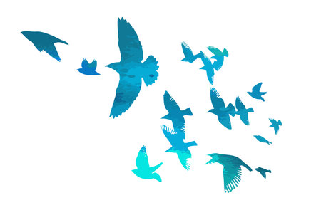 A flock of blue birds. hand drawing. Not AI. Vector illustrationのイラスト素材