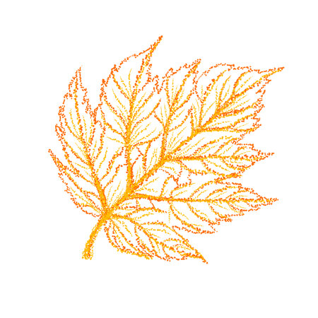 Yellow graphic leaf. hand drawn. Not AI, Vector illustrationのイラスト素材