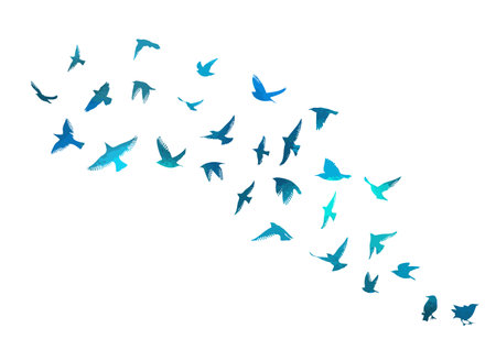 A flock of blue birds. hand drawing. Not AI. Vector illustrationのイラスト素材