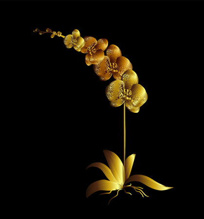 Golden Orchid. hand drawing. Not AI, Vector illustration.のイラスト素材