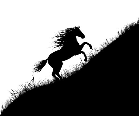 The horse gallops up the hill. Silhouette of a horse moving up a slope. hand drawing. Not AI, Vector illustrationのイラスト素材
