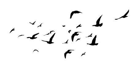 Flying birds silhouettes on white background. Vector illustration. isolated bird flying. tattoo design.のイラスト素材