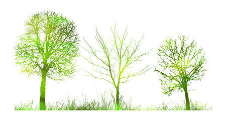 Green trees in the park. hand drawn. Not AI, Vector illustrationのイラスト素材
