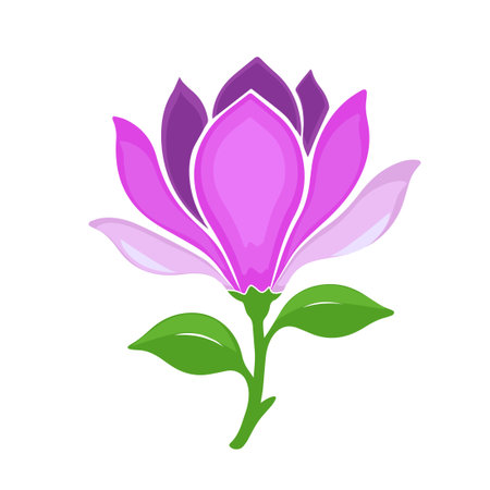 magnolia flower object. Hand drawn. Not AI, vector illustrationのイラスト素材