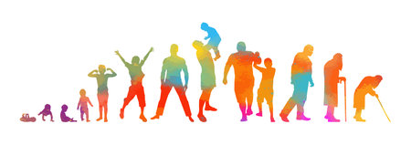 The colored life cycle of a man. Not AI, vector illustration.のイラスト素材