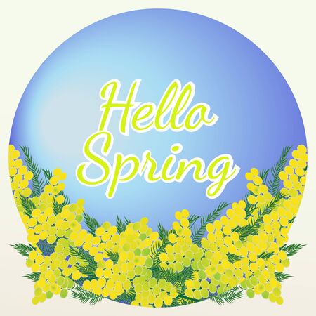 Hello Spring lettering on blue background with mimosa flowers. Vector illustrationのイラスト素材