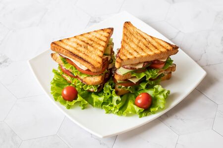 Sandwich with cheese, tomato, cucumber, sausage and salad on a light background. . Horizontal orientationの写真素材