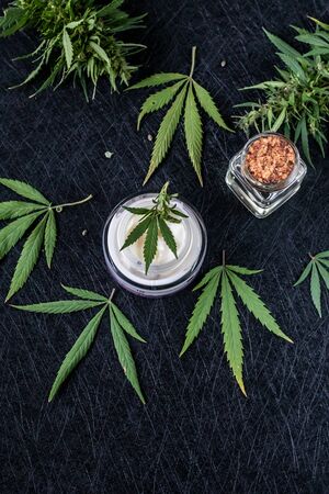 Natural cannabis cream, hemp, moisturizing CBD lotion. Cosmetic productの写真素材
