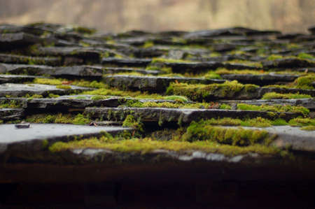 Picture of old house stone mossy roof in the rainy dayの写真素材