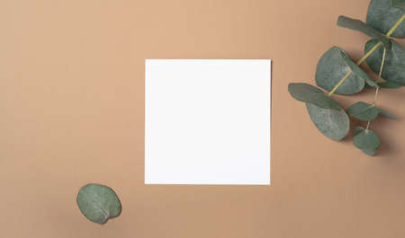 Real photo. square invitation card mockup with a eucalyptus branch. Top view with copy space, pastel...