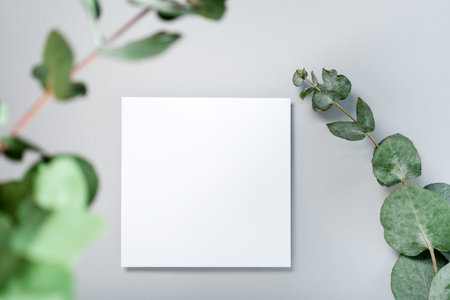 Real photo. square invitation card mockup with a eucalyptus branch. Top view with copy space, light gray background. Template for branding and advertisingの写真素材