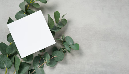 Real photo. square invitation card mockup with a eucalyptus branch. Top view with copy space, light gray concrete background. Template for branding and advertisingの写真素材