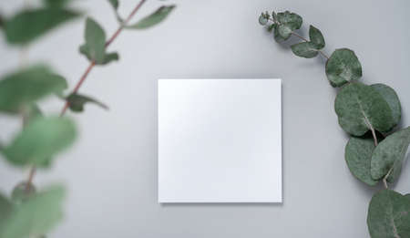 Real photo. square invitation card mockup with a eucalyptus branch. Top view with copy space, light gray background. Template for branding and advertisingの写真素材