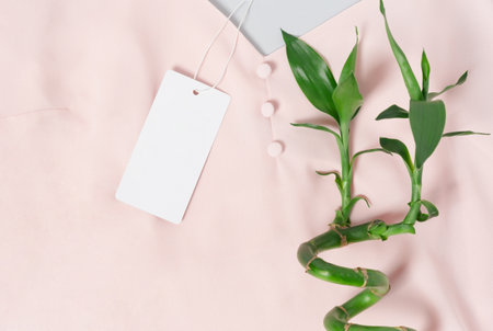 White clothing tag, label blank mockup template, to place your design. On a premium cotton pink blouse fabric textile background. Bamboo.の写真素材