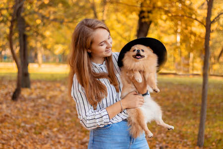 A girl of European appearance with blond hair is holding on her hands a dog, of the breed Pomeranian spitz red color against the background of autumn leaves.の写真素材