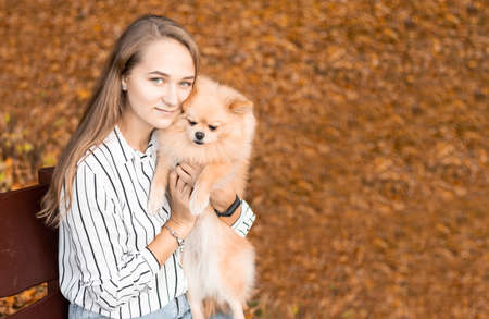 Young natural blonde girl with green eyes holds and hugging a Pomeranian spitz dog on her arms in the background of an autumn park with copy spaceの写真素材