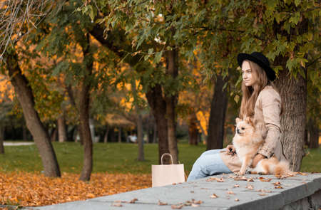 A young natural blonde woman in a black hat sits in an autumn park and hugs a Pomeranian spitz. Human and animal friendship concept with copy space.の写真素材