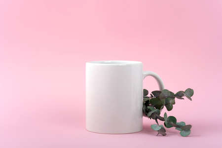 Mockup white coffee cup or mug on a pink background with copy space. Blank template for your design, branding, business. real photo. Eucalyptus branchesの写真素材