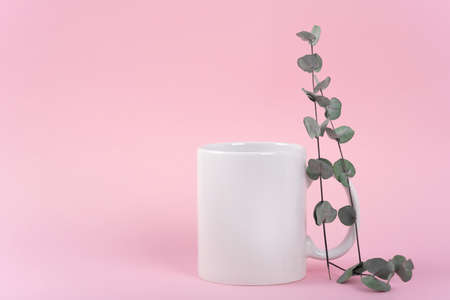 Mockup white coffee cup or mug on a pink background with copy space. Blank template for your design, branding, business. real photo. Eucalyptus branchesの写真素材