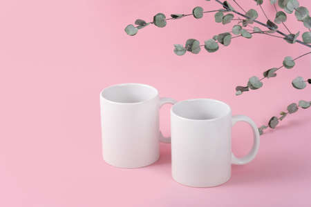Mockup two white coffee cup or mug on a pink background with copy space. Blank template for your design, branding, business. real photo. Eucalyptus branchesの写真素材
