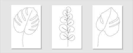 One line drawing of tropical leaves monstera, eucalyptus. Modern, boho single line art. vector illustration.のイラスト素材