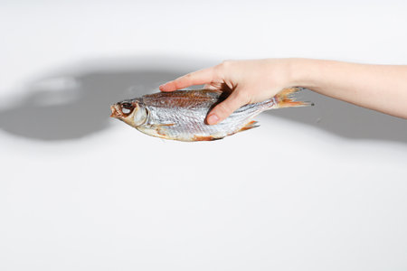 Dried dry fish taranka, ram, roach, bream, flatfish are held by female hands on a white background....