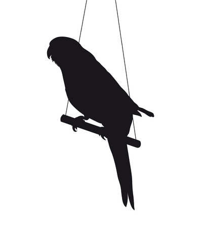 bird silhouette isolated on white background, parrot sitting on the stickのイラスト素材