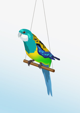 Vector realistic colorful parrot is sitting on the stick. Pets, bird isolatedのイラスト素材