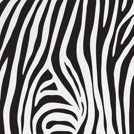 vector black and white zebra skin texture, pattern, backgroundのイラスト素材