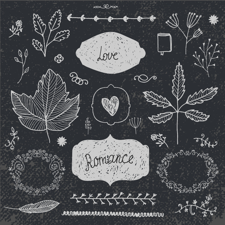 Vector hand drawn doodle romantic set. Linear illustration - flowers, wreaths, deviders, frames, leaves.のイラスト素材