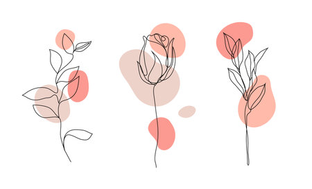 Vector set of hand drawn, single continuous line flowers - roses , leaves sketch. Art floral elements. Use for t-shirt printsのイラスト素材
