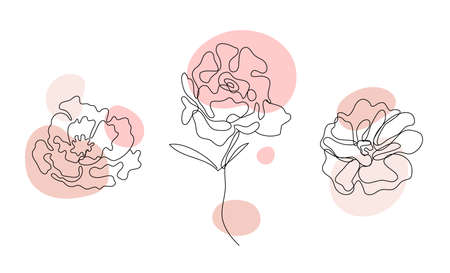 Vector set of hand drawn, single continuous line flowers - roses , leaves sketch. Art floral elements. Use for t-shirt prints,  cosmetics.のイラスト素材