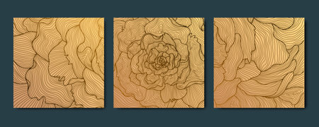 Vector set of floral templates, beauty cards, backgrounds. Square banners, frames, premuim gold patterns. Rose, peony luxury royal illustration, package.のイラスト素材