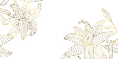 Vector flower gold line background, plant spring blossom corners, leaves floral lily frame. Chinese, japanese oriental nature border.のイラスト素材