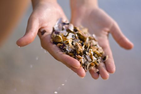 seashells an stones on a woman's handsの写真素材