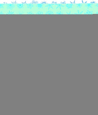 black bug isolated on white backgroundの写真素材