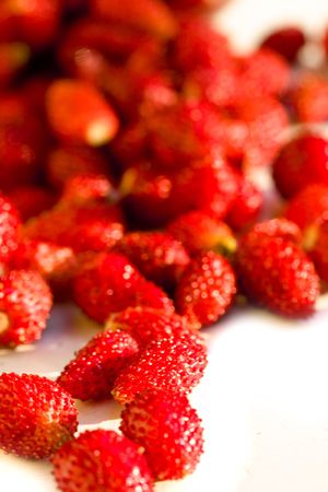 fresh and tasty wild strawberries closeupの写真素材