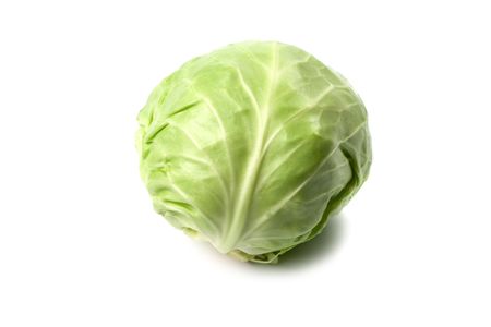 head of green cabbage vegetable isolated on white background の写真素材