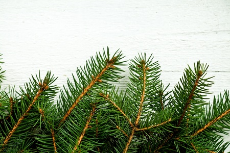 christmas fir tree on white wooden board