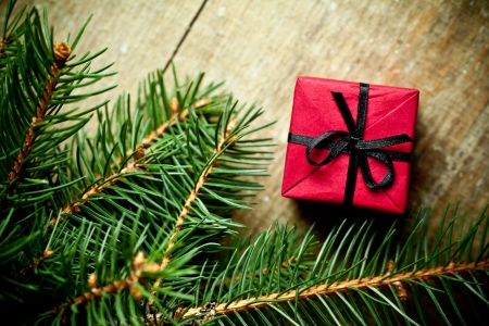 christmas decoration and fir tree on a wooden boardの写真素材