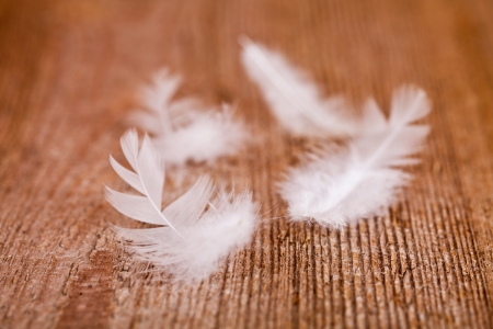 white downy feathers on rustic wooden backgroundの写真素材