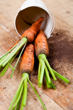 fresh carrots bunch and bucket on wooden backgroundの写真素材