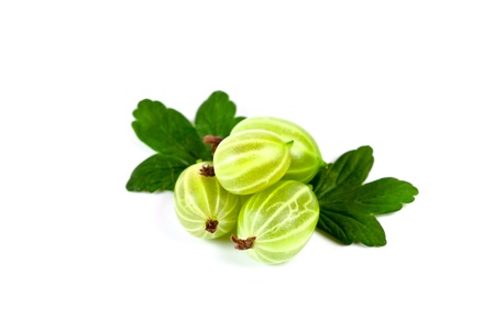 gooseberries with leaves on white backgroundの写真素材