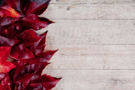 red autumn leaves closeup on wooden backgroundの写真素材